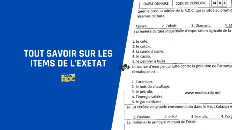 Tout Savoir sur les Items de l'Exetat